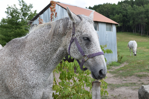 Golf Club «Big Stone Mini Golf», reviews and photos, 7110 County Rd 110 W, Minnetrista, MN 55364, USA