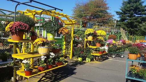 Florist «Dutch & Olgas Greenhouse», reviews and photos, 1285 NJ-36, Hazlet, NJ 07730, USA