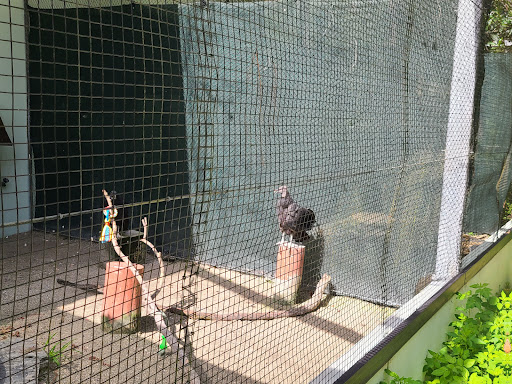 Nature Preserve «Calusa Nature Center & Planetarium», reviews and photos, 3450 Ortiz Ave, Fort Myers, FL 33905, USA