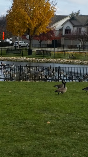 Coffee Shop «Starbucks», reviews and photos, 102 E Irving Park Rd, Itasca, IL 60143, USA