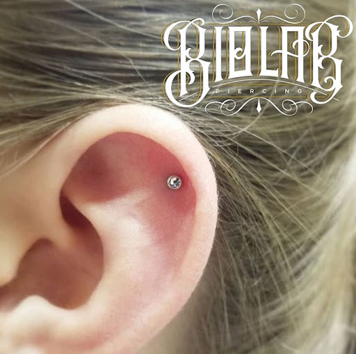 Explore hell hound tattoo ideas, creative tattoo ideas in Houston, available at Biolab Fine Jewelry and Body Piercing Studio