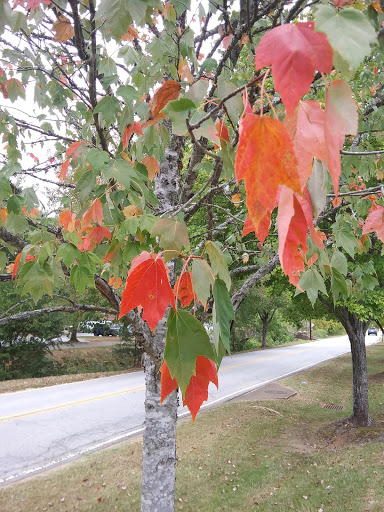 Park «Cleveland Park», reviews and photos, Cleveland Park Drive & East Washington, Greenville, SC 29601, USA