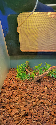 Pet Store «Southside Aquatics», reviews and photos, 2039 Pleasanton Rd, San Antonio, TX 78221, USA