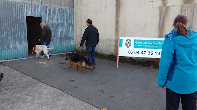 Limousin Dog Training à Val-d'Oire-et-Gartempe