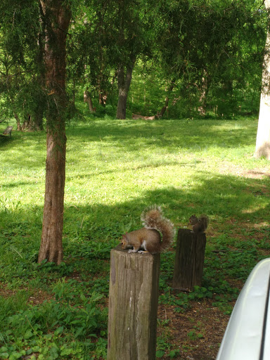 Park «George Rogers Clark Park», reviews and photos, 1024 Thruston Ave, Louisville, KY 40217, USA