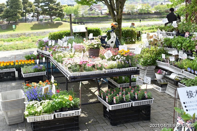 タネ源本店