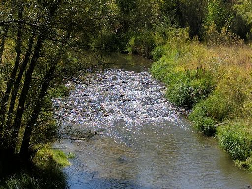 Park «Cherry Creek Valley Ecological Park», reviews and photos, 7500 S Jasper Ct, Centennial, CO 80112, USA
