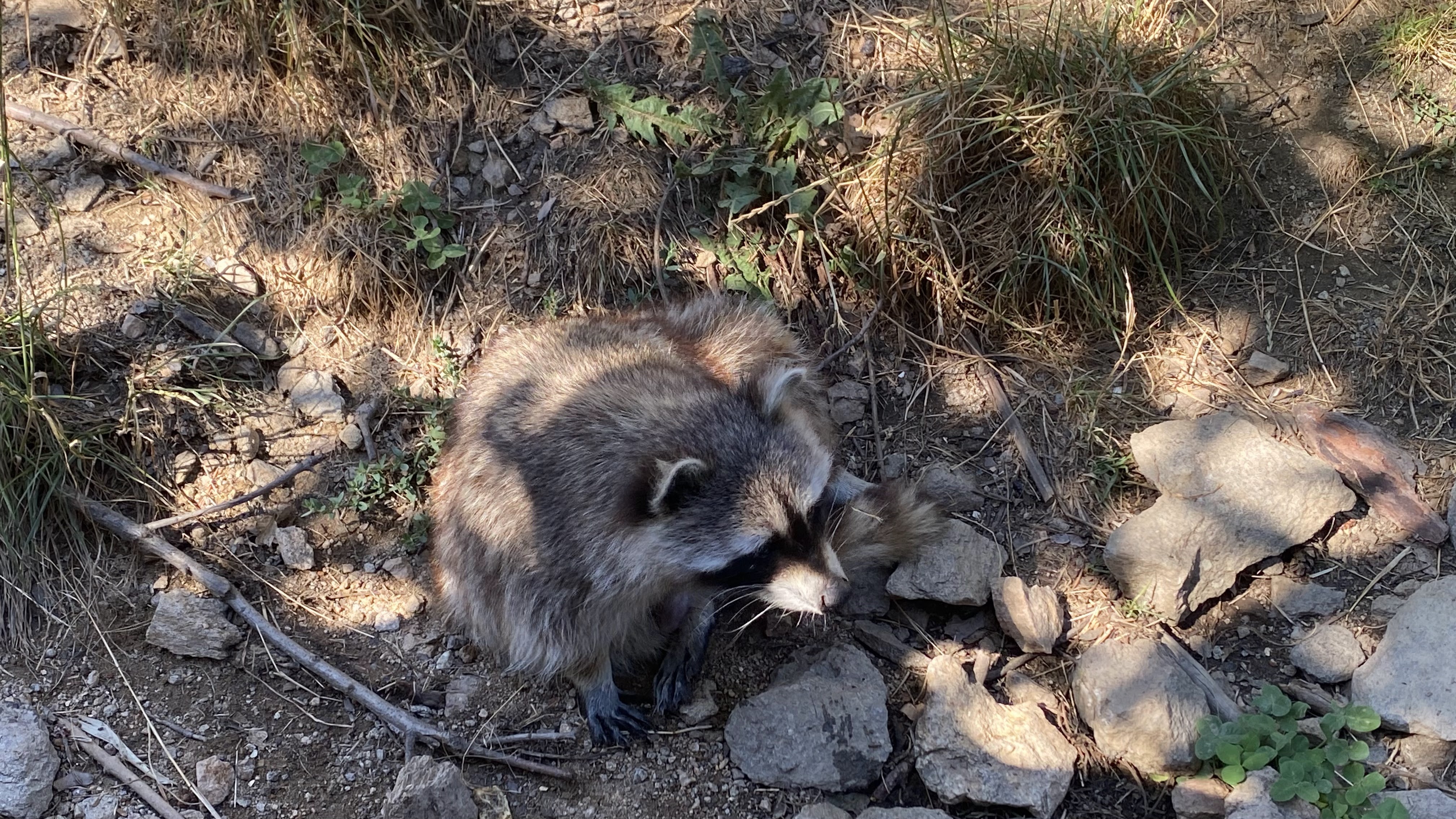 Photo n° 20 de l'avis de Olivier.e fait le 06/08/2022 à 17:29