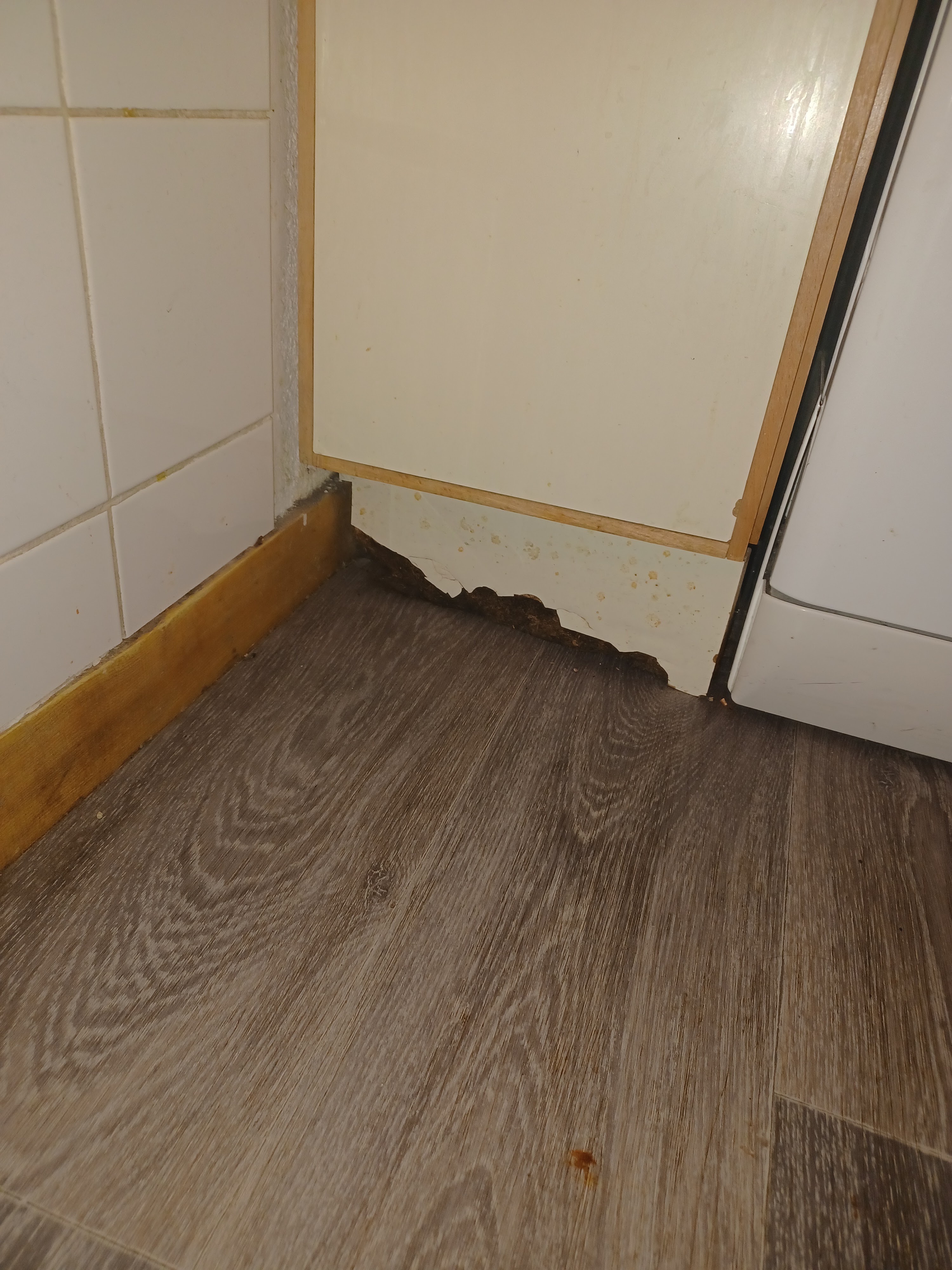 Photo n° 5 de l'avis de Kety.I fait le 25/03/2022 à 19:56