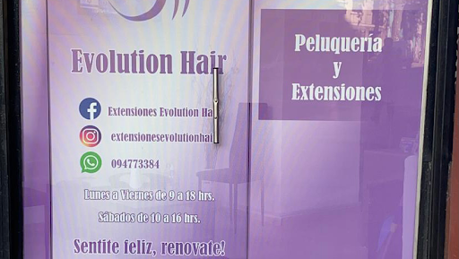 Extensiones Evolution Hair