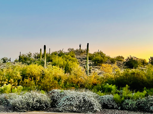 Golf Course «Anthem Country Club», reviews and photos, 2708 W Anthem Club Dr, Phoenix, AZ 85086, USA