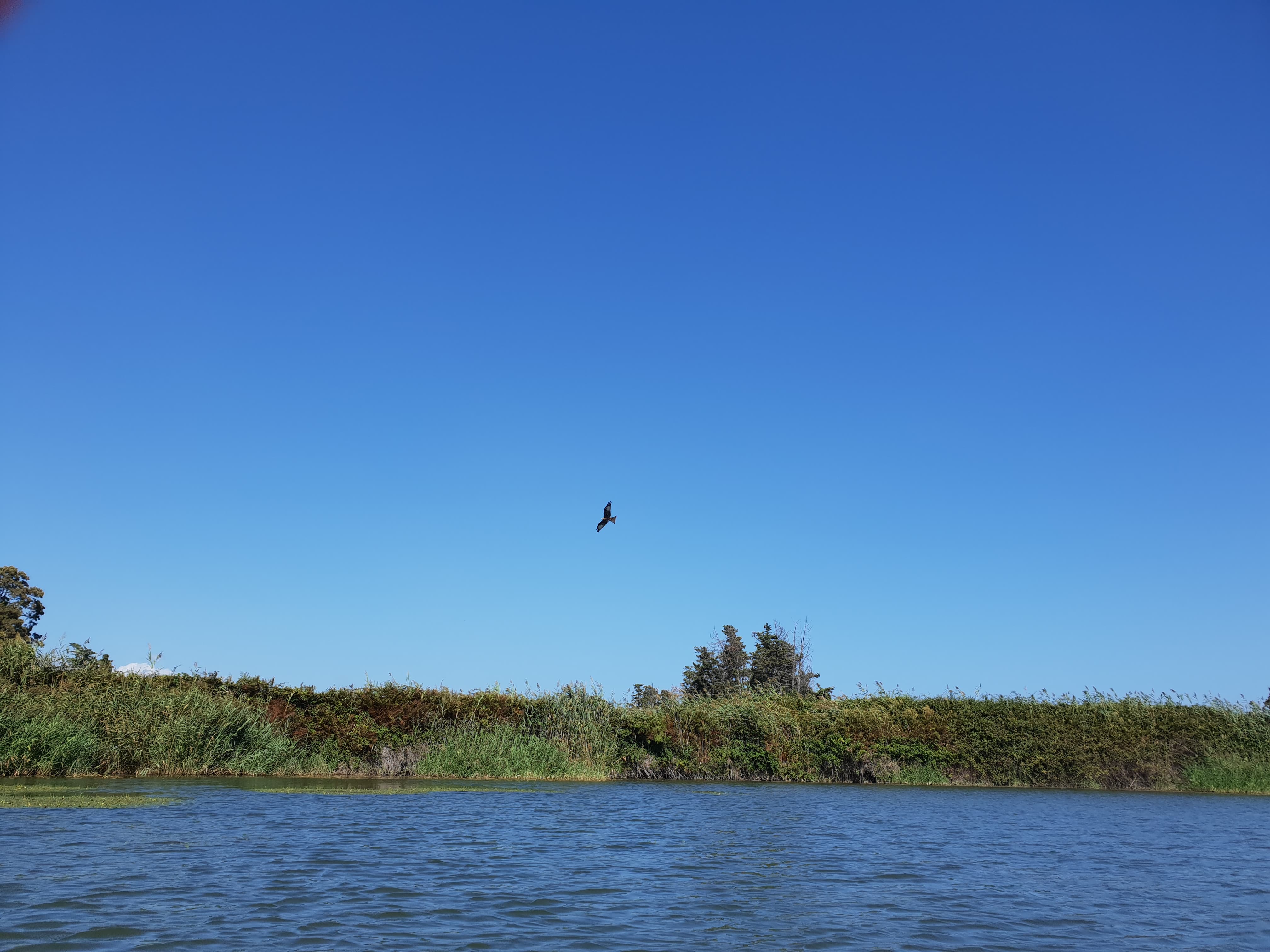 Photo n° 4 de l'avis de rafa.o fait le 21/09/2018 à 07:20