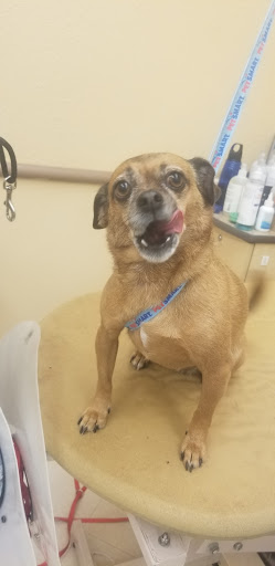 Pet Supply Store «PetSmart», reviews and photos, 2391 NJ-66, Ocean Township, NJ 07712, USA