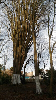 Parc André Curvale à Talence