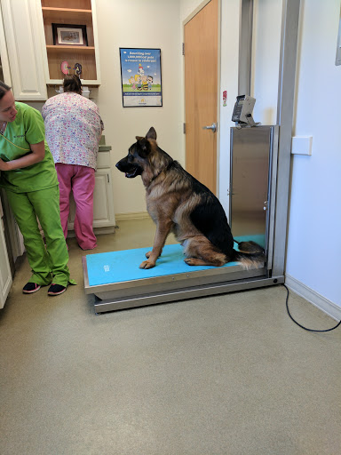 Animal Veterinary Center veterinary clinic