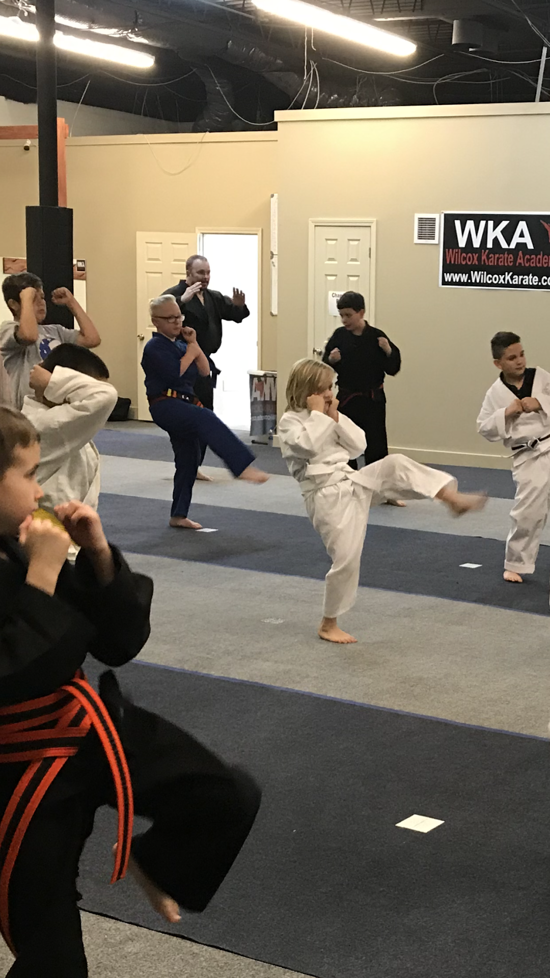 Wilcox Karate Academy