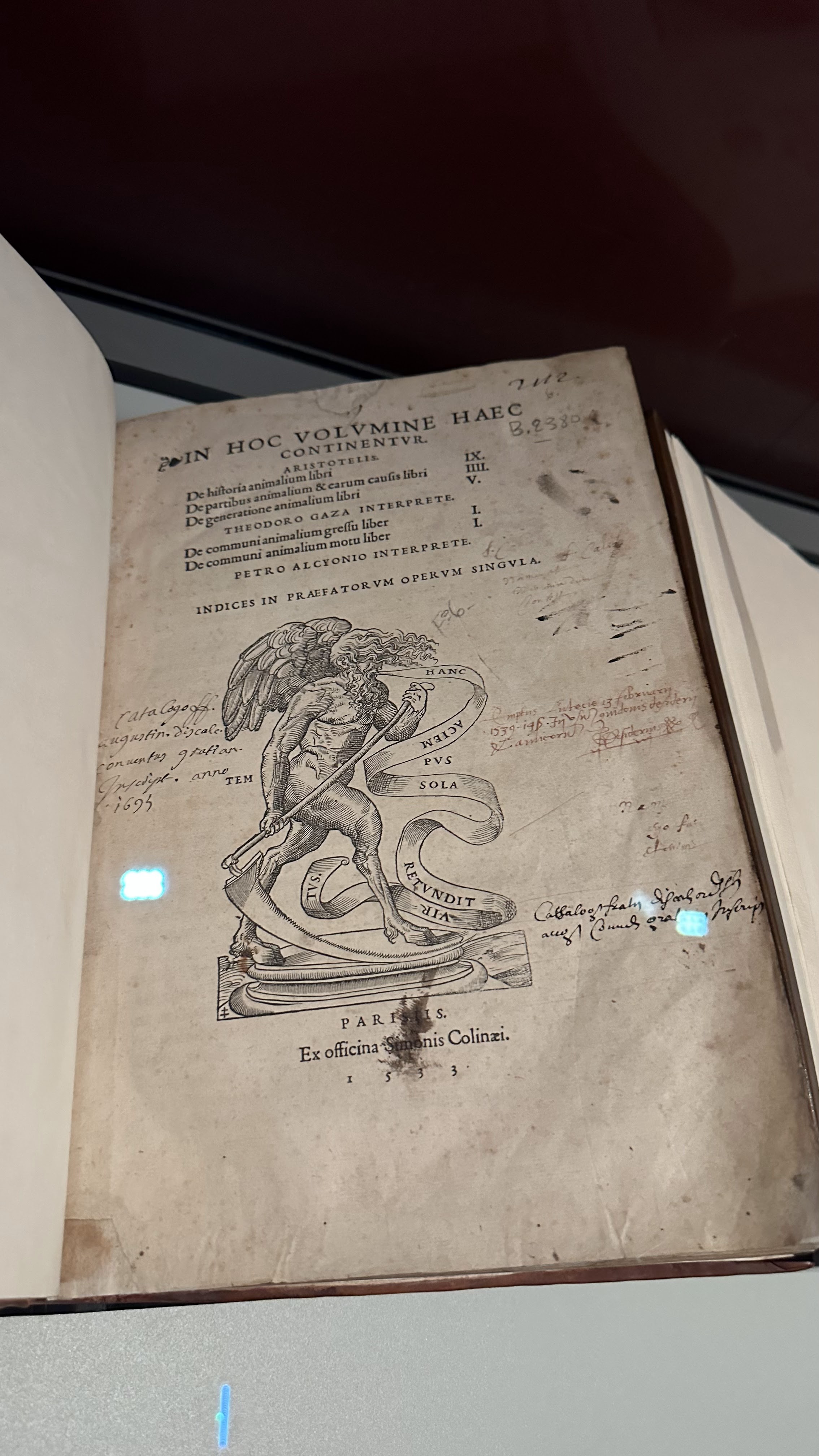 Photo n° 12 de l'avis de Richard.a fait le 01/08/2023 à 14:05