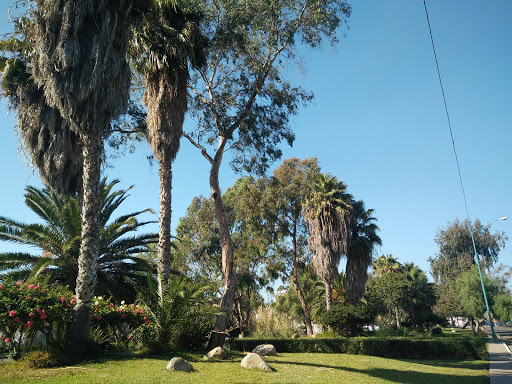 Parque México Norte