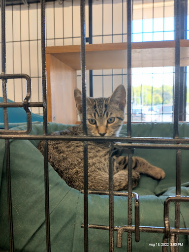 Pet Supply Store «Pet Supplies Plus», reviews and photos, 7315 Mentor Ave, Mentor, OH 44060, USA