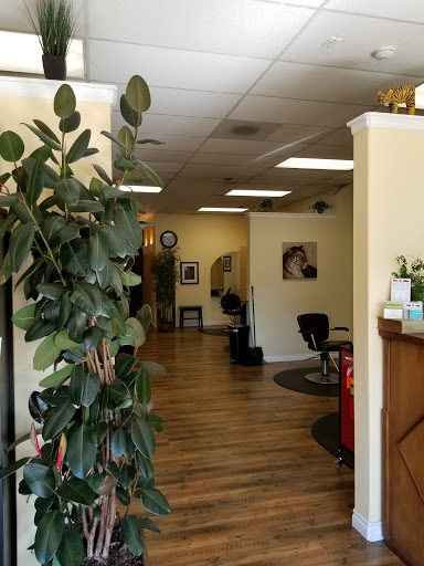 Beauty Salon «Mane St Salon», reviews and photos, 15420 Main St NE, Duvall, WA 98019, USA