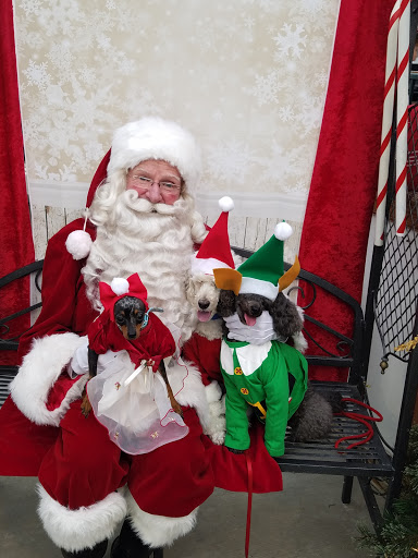 Florist «Meier Flowerland & Greenhouse», reviews and photos, 8087 Grand River Ave, Brighton, MI 48114, USA