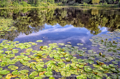 Nature Preserve «Captain Daniel Wright Woods Forest Preserve», reviews and photos, 24830 N St Marys Rd, Mettawa, IL 60045, USA