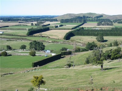 Photos of Kowhai Residential School of Riding ltd