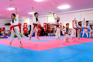 Australian Martial Arts Academy image