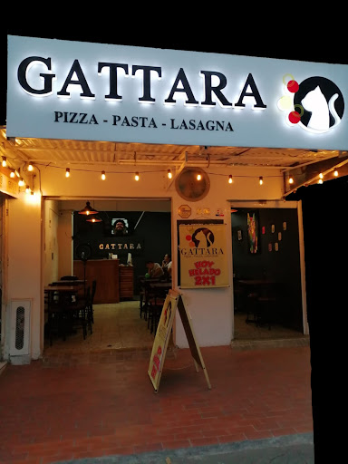Gattara Pizza lasagna y pasta