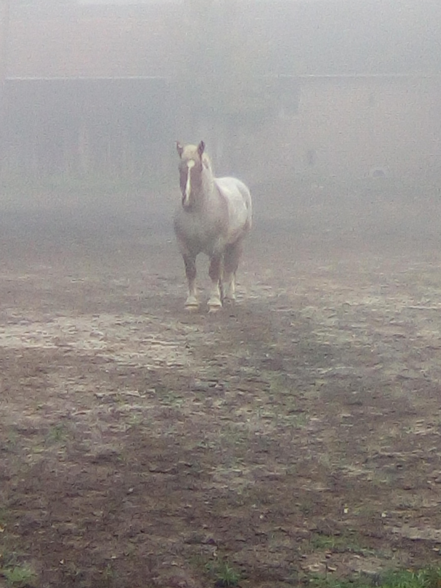 Photo n° 10 de l'avis de De.o fait le 13/10/2023 à 07:58