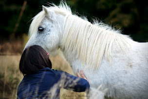 Photo n°5 de Commanimales à Noues de Sienne ()