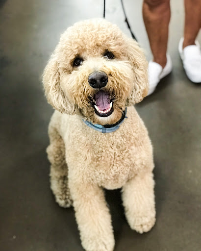 Pet Supply Store «Unleashed», reviews and photos, 1319 Military Cutoff Rd, Wilmington, NC 28405, USA