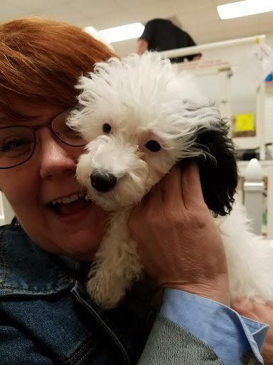 Pet Store «Puppy City», reviews and photos, 3343 Valley Pike, Winchester, VA 22602, USA