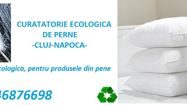 Curatatorie ecologica de perne Cluj-Napoca - Servicii de curățenie