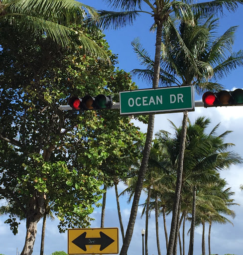 Community Center «Miami Beach JCC», reviews and photos, 4221 Pine Tree Dr, Miami Beach, FL 33140, USA