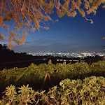 Photo n°1 de l'avis de nick.b fait le 24/09/2020 à 20:58 sur le  Agriturismo Pallotta à Monte Compatri