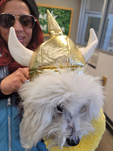 Pet Supply Store «Petco Animal Supplies», reviews and photos, 11633 Ulysses Ln NE #200, Blaine, MN 55434, USA