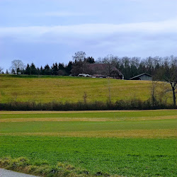 Hundeschule Berghof