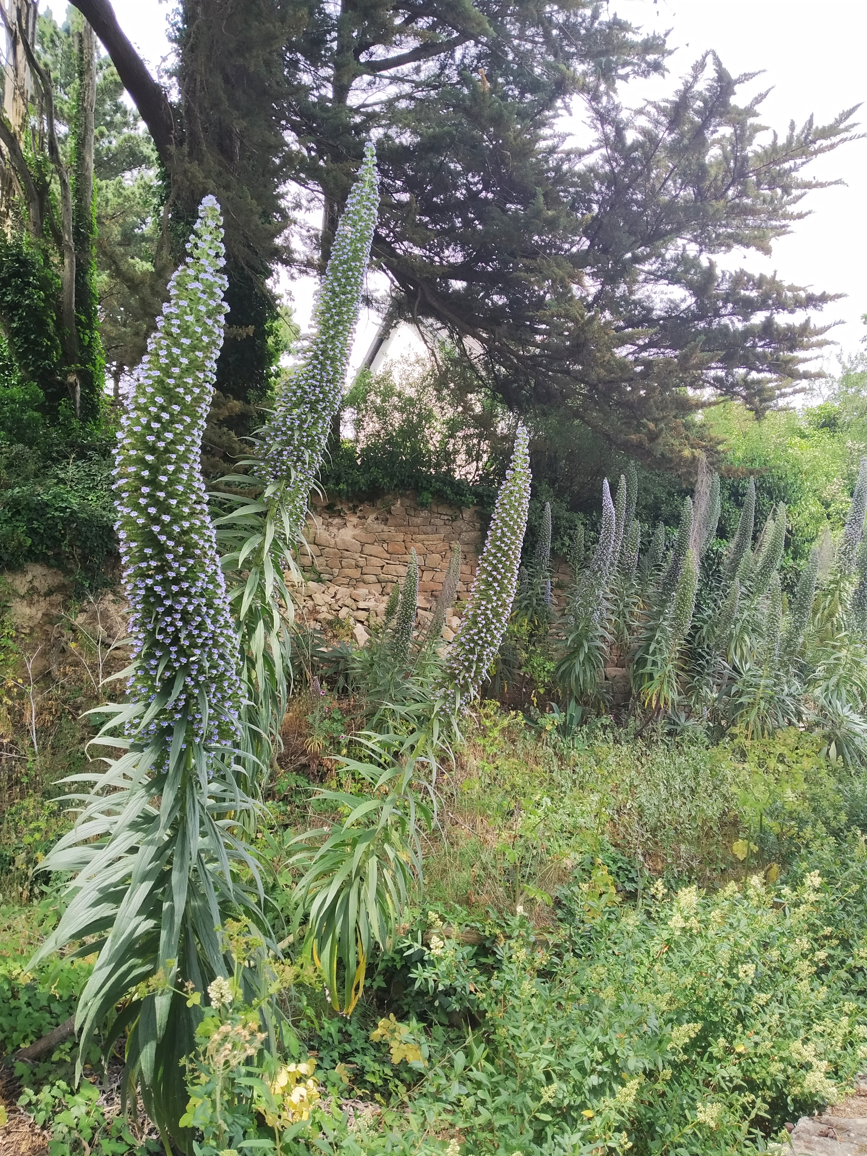Photo n° 15 de l'avis de babeth.i fait le 18/05/2022 à 18:07