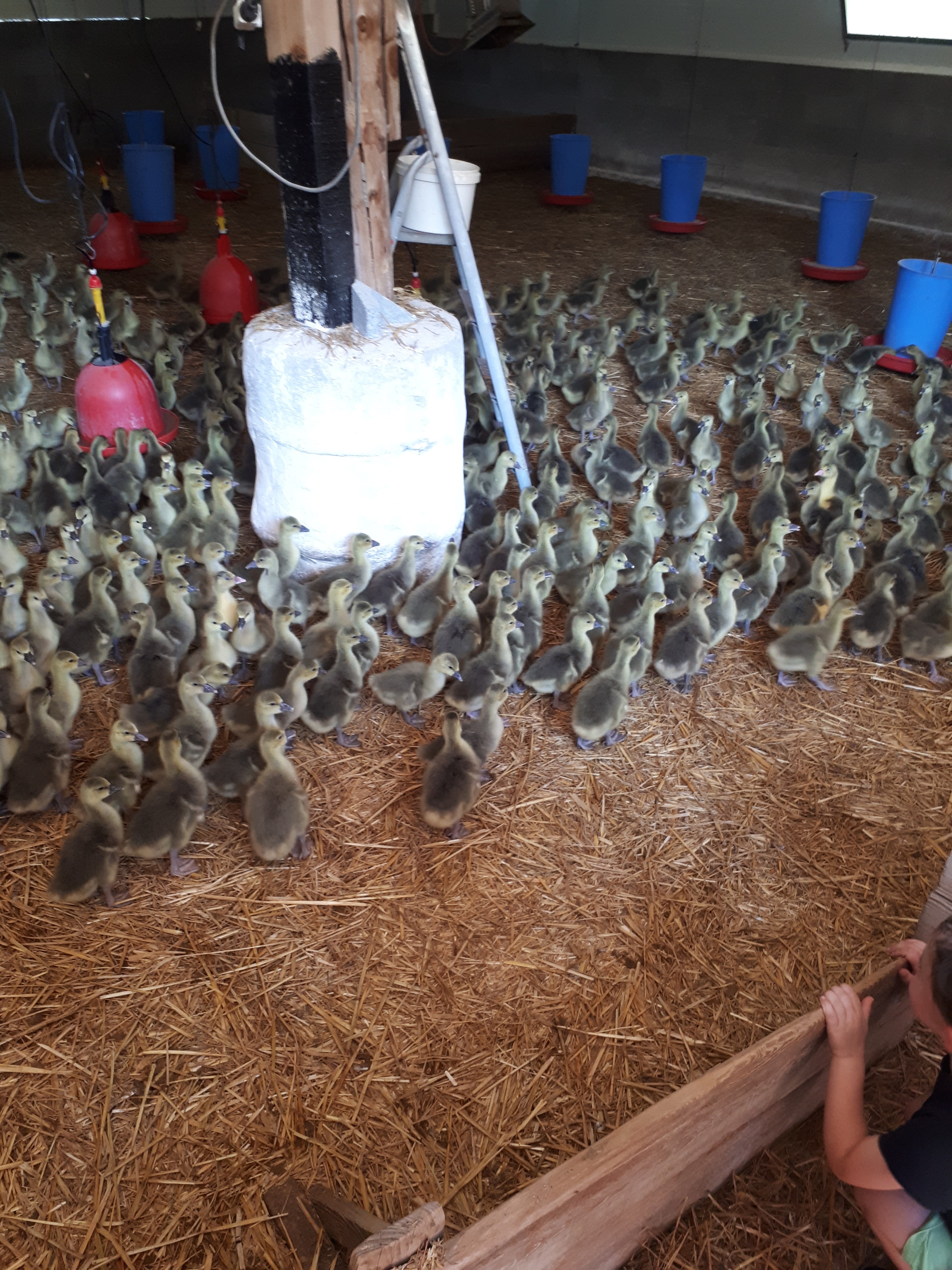 Photo n° 2 de l'avis de Quentin.e fait le 22/08/2018 à 11:36
