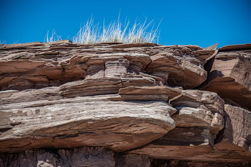 National Park «Petrified Forest National Park», reviews and photos