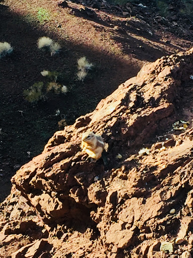 Visitor Center «Lake Mead Visitor Center», reviews and photos