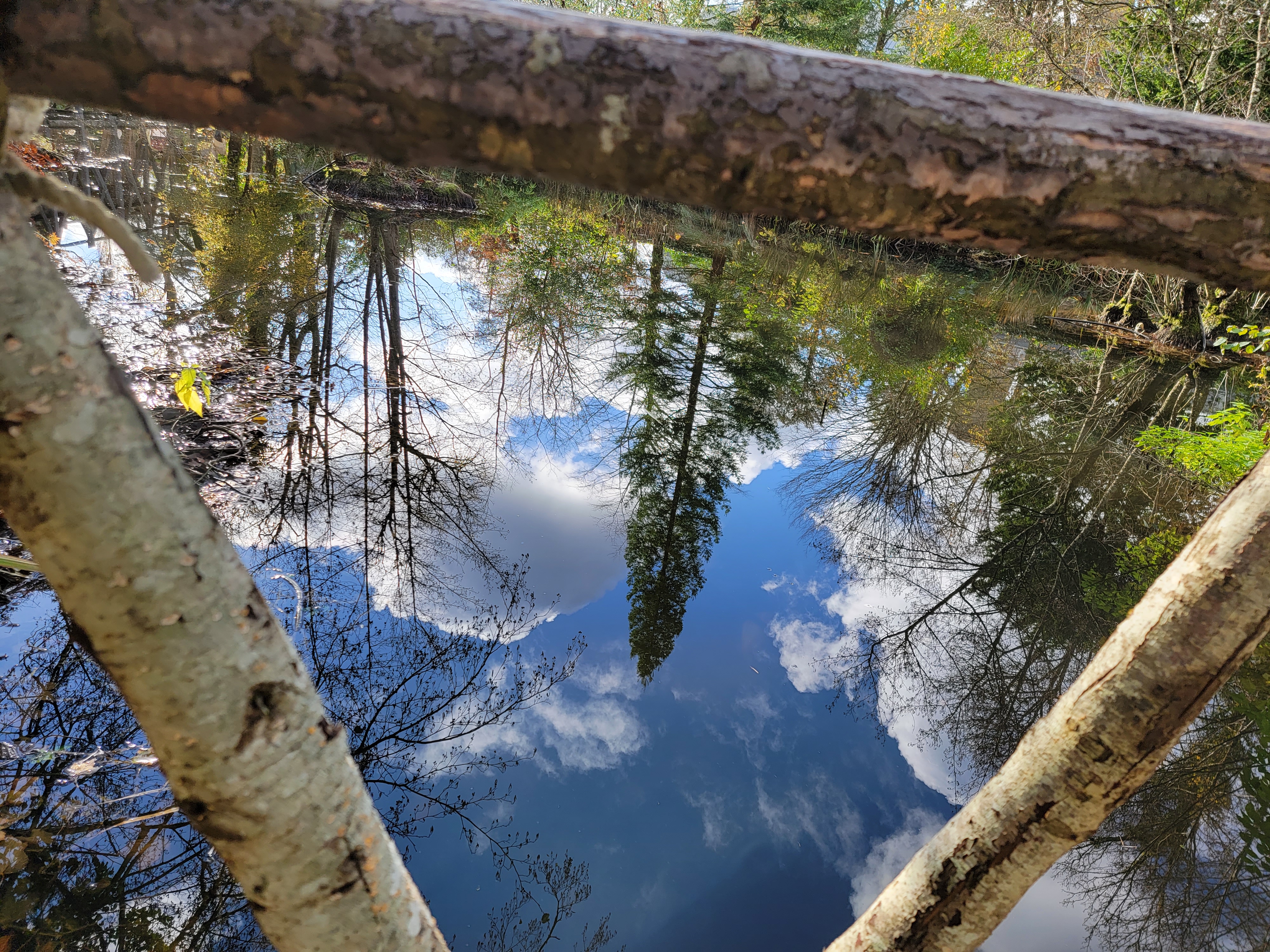 Photo n° 3 de l'avis de Zongle. fait le 08/12/2023 à 00:25