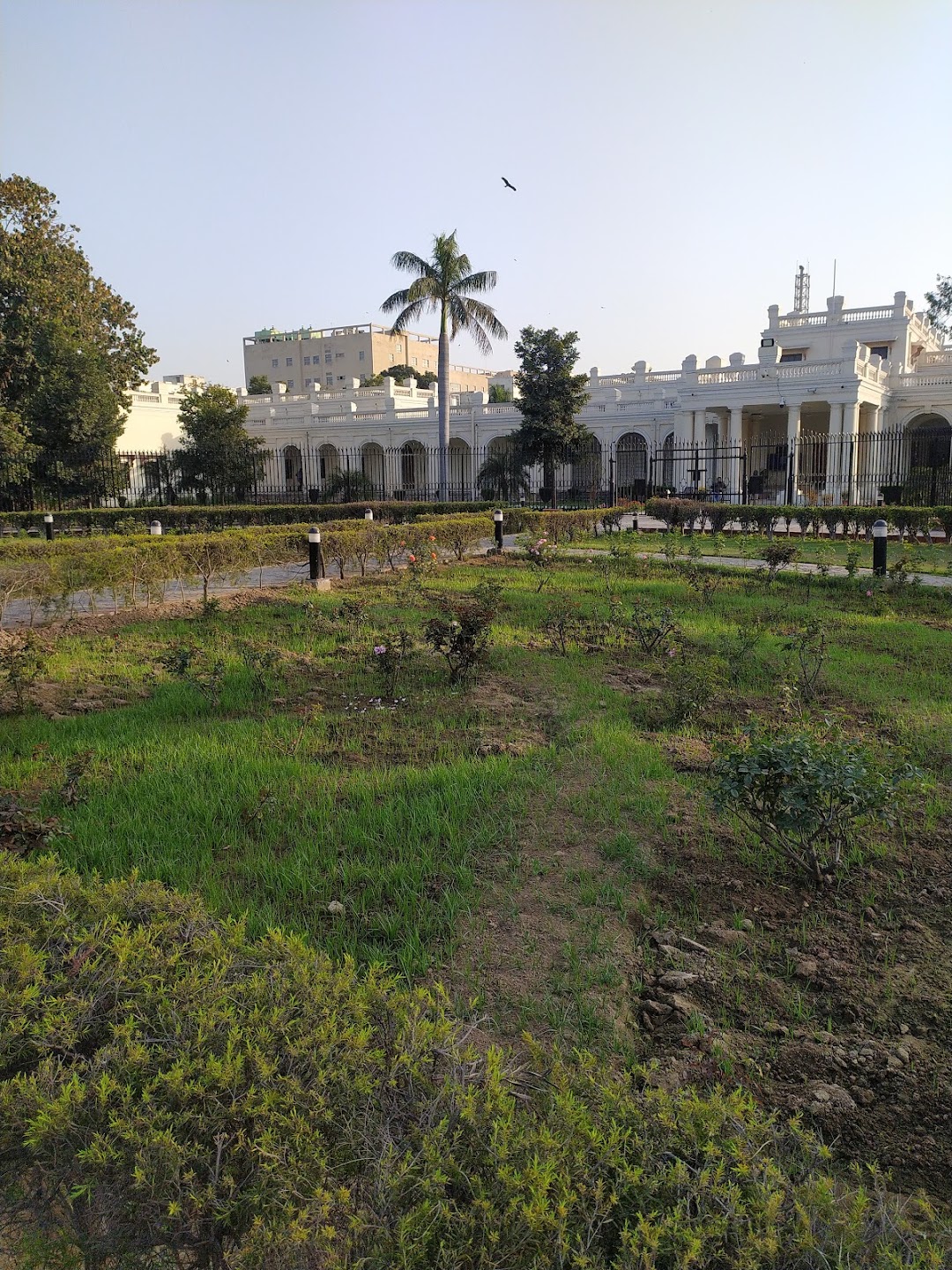VC Lawns, Delhi University