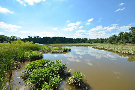 National Park «Kenilworth Park», reviews and photos, 1505 Ancostia Ave NE, Washington, DC 20019, USA