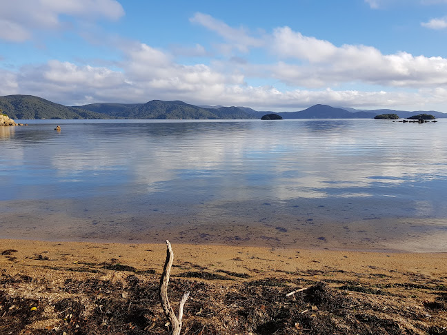 Comments and reviews of Aihe Wildlife Cruises & Water Taxi - Stewart Island