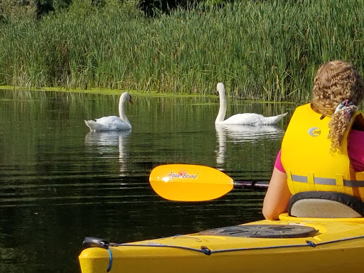 Canoe & Kayak Store «BayCreek Paddling Center, Inc.», reviews and photos, 1099 Empire Blvd, Rochester, NY 14609, USA