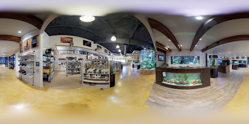 Pet Supply Store «Fish Gallery», reviews and photos, 26002 I-45, Spring, TX 77396, USA