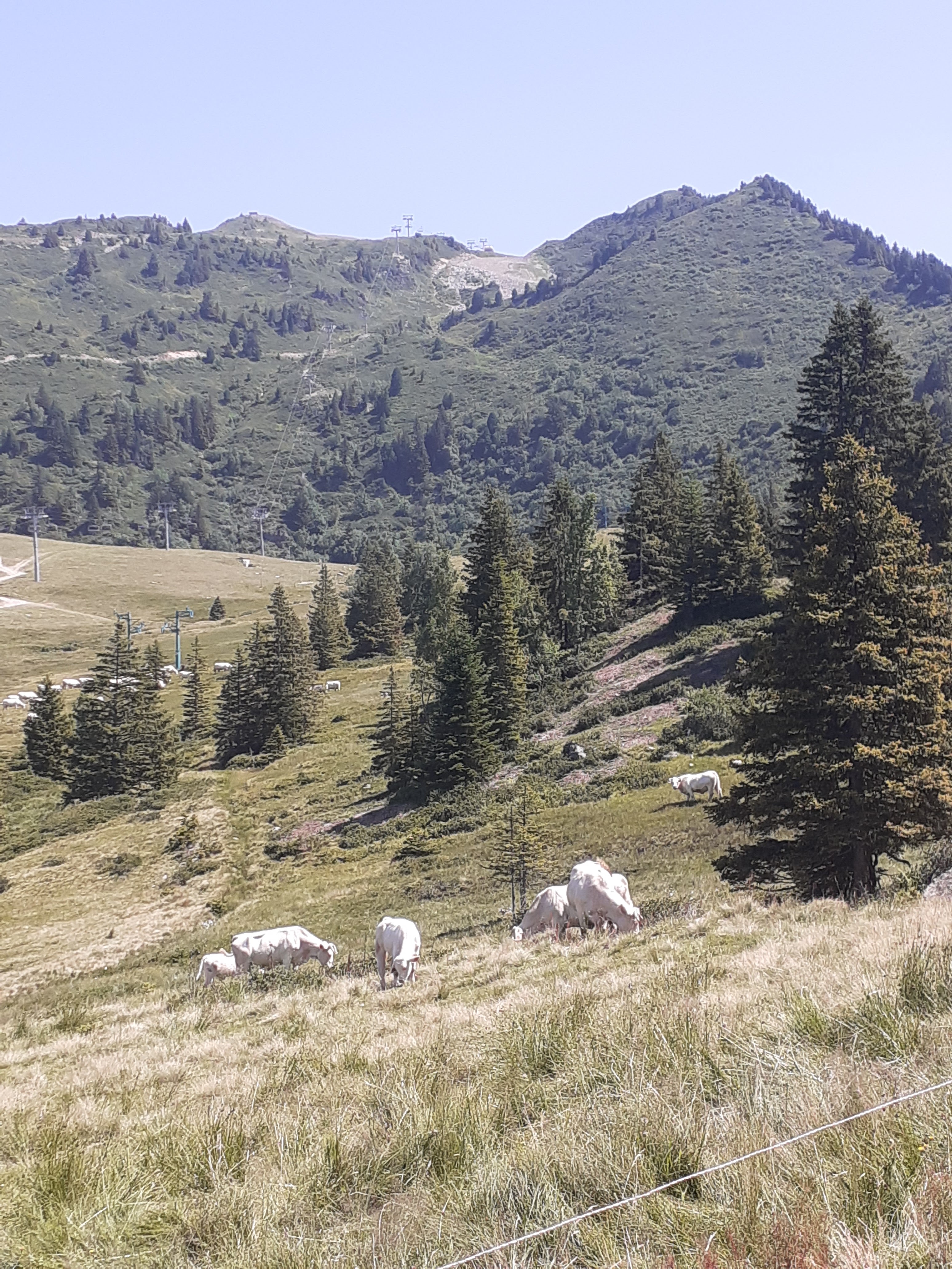 Photo n° 2 de l'avis de bienvenu.i fait le 20/08/2021 à 08:00