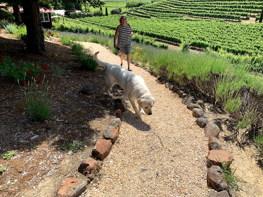 Winery «A Rafanelli Winery», reviews and photos, 4685 W Dry Creek Rd, Healdsburg, CA 95448, USA